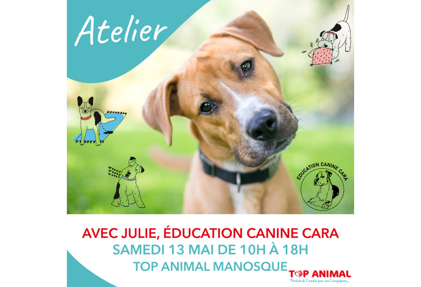 ANIMATION EDUCATION CANINE